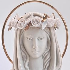 Alternative view of Virgen Rosa Mística